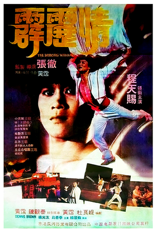 Poster 2 de Filme The Dancing Warrior (1985)