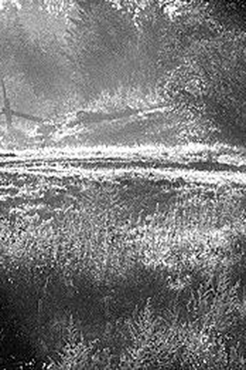  de Filme A Colônia (2001)