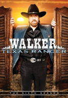 Walker, Texas Ranger (6ª Temporada) (Walker, Texas Ranger (Season 6))