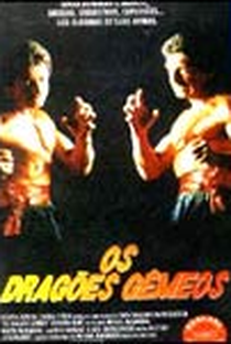 Os Dragões Gêmeos - Poster / Capa / Cartaz - Oficial 1