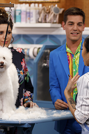 Poster de Episódio BARK-ingham Palace (2020)