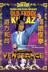 A Daughter's Vengeance (Xue ling jian nu)