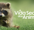 A vida Secreta dos Animais