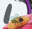 To Bee or Not to Bee