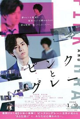 Poster 1 de Filme Pink and Gray (2015)