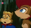 Sonic Boom