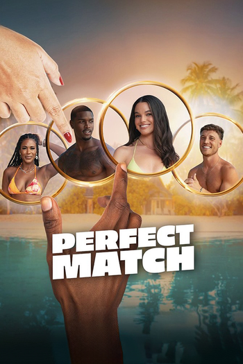 Poster de Franquia Perfect Match (None)