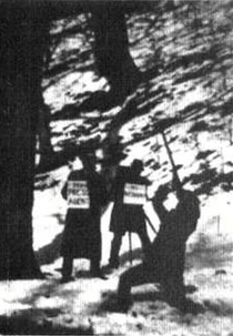 Terrível Teddy, o Rei Grizzly (Terrible Teddy, the Grizzly King)