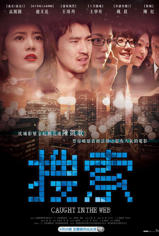Poster 2 de Filme Presa Na Internet (2012)