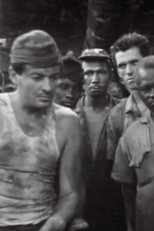 Na rota do vento, o cinema na música de Sergio Ricardo (Na rota do vento, o cinema na música de Sergio Ricardo)