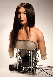 How to Build a Human (How to Build a Human)