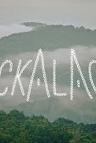 Poster 1 de Filme Blackalachia (2021)