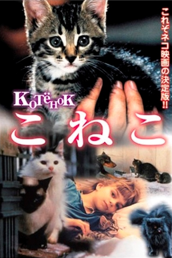 Poster de Filme Kotyonok (1997)