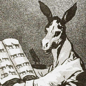 Foto de perfil de Lu May