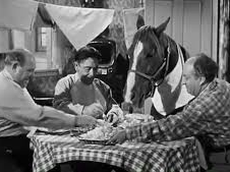 Foto 2 de Salvem Ele