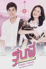 Senior Secret Love: Puppy Honey (Senior Secret Love: Puppy Honey)