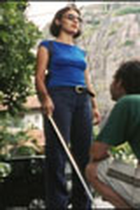 Cão Guia (Cão Guia)