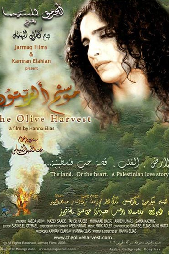 Poster de Filme A Colheita das Olivas (2003)