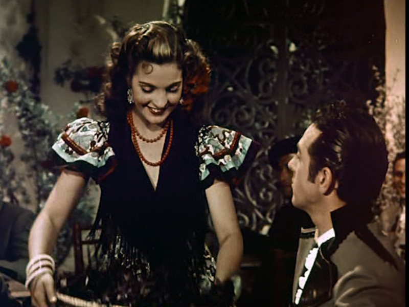 Foto 3 de Violetas Imperiais