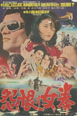 Woman Warrior with a Grudge (Wonhanui yeogwon)