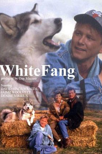 Poster de Série Caninos Brancos (1993)