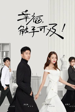 Love Designer (Love Designer)