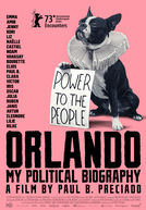 Orlando, Minha Biografia Política (Orlando, ma biographie politique)