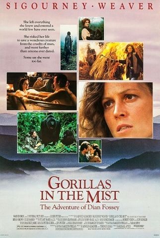 Poster 5 de Filme Nas Montanhas dos Gorilas (1988)