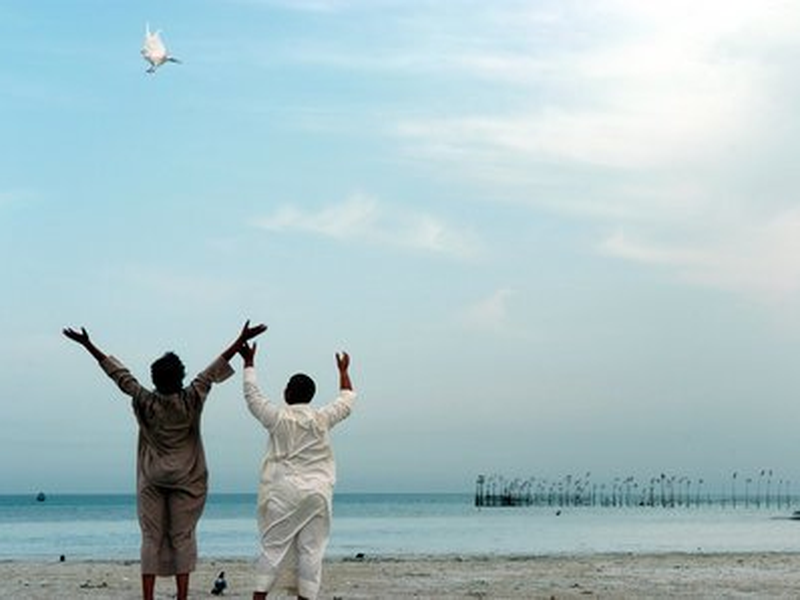 Foto 6 de A Bahraini Tale