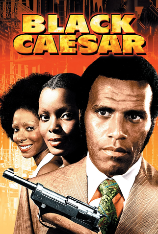 Poster 6 de Filme O Chefão de Nova York (1973)