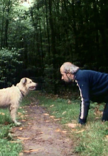 L'EMPIRE DE MÉDOR (L'EMPIRE DE MÉDOR)