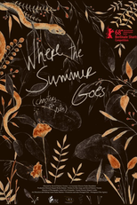 Onde o Verão Vai (episódios da juventude) (Onde o Verão Vai (episódios da juventude))