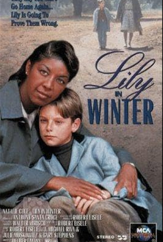 Poster 1 de Filme Aprendendo a Viver (1994)