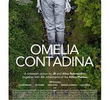 Omelia Contadina