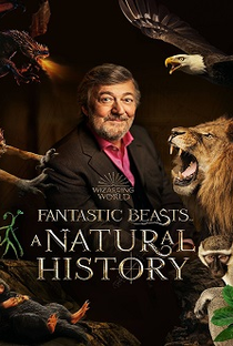 Animais Fantásticos: Uma História Natural - Poster / Capa / Cartaz - Oficial 1