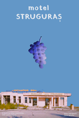 Motel STRUGURAȘ (Motel STRUGURAS)