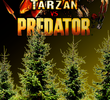 Tarzan vs Predador