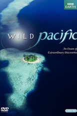 Pacífico Sul (South Pacific)