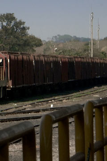 Poster de Curta Magnífica Desolação (2010)