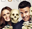 Bones