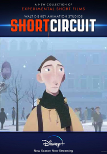 Indo Para Casa (Going Home)