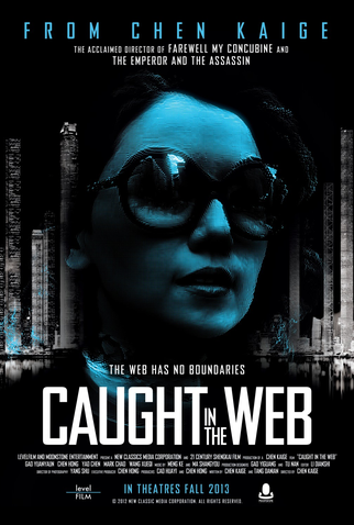 Poster 1 de Filme Presa Na Internet (2012)