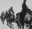 A Caravana dos Camelos