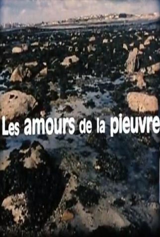 Poster 1 de Curta A Vida Amorosa do Polvo (1967)