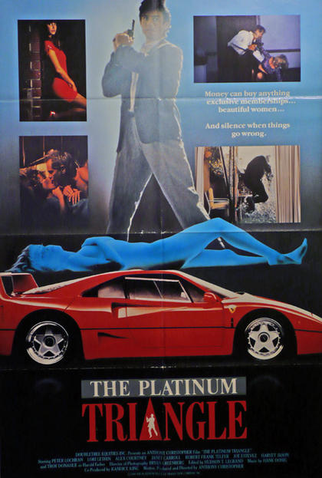 Poster 1 de Filme O Triângulo Prateado (1989)