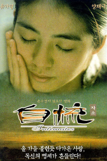 Poster de Filme Intimates (1997)