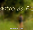 Rastro da Flor