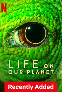 A Vida no Nosso Planeta - Poster / Capa / Cartaz - Oficial 6