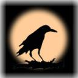 Foto de perfil de Rodrigo S