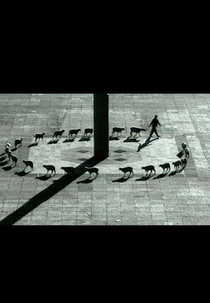 Contos patrióticos (Cuentos patrióticos)